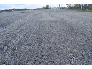 Property photo 89 - 127 Acres Offered in 8 Tracts - Allen & Dekalb County Land